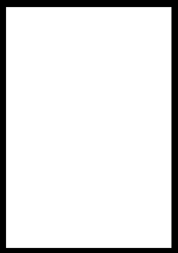 pion_oryg.png